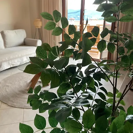Treasure Apartment