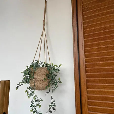 Treasure Apartment Pyrgadikia